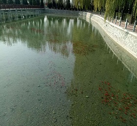 景觀水(shuǐ)處理(lǐ)