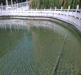 景觀湖(hú)水(shuǐ)處理(lǐ)