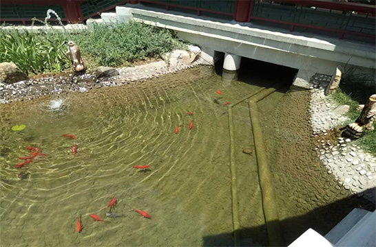 50噸景觀水(shuǐ)池淨化(huà)劑套裝