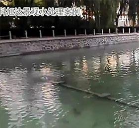 景觀湖(hú)水(shuǐ)處理(lǐ)